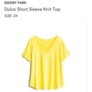 Emory park dulce shirt sleeve knit top 2x